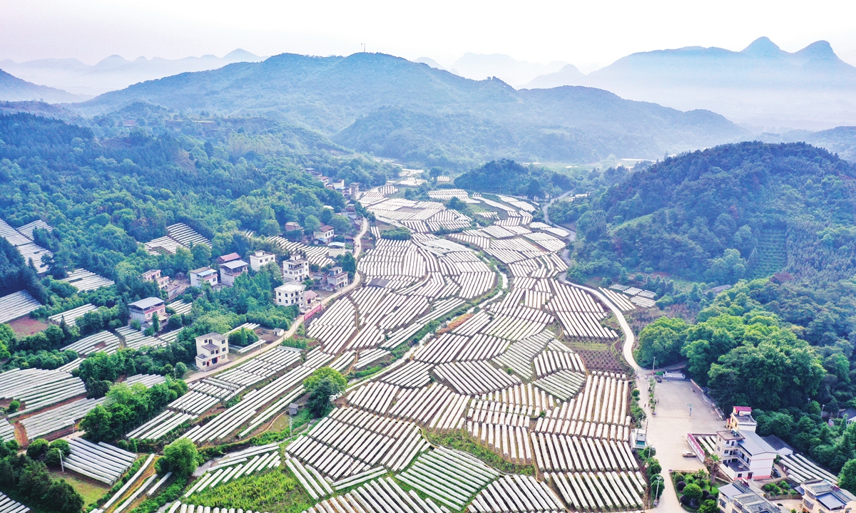 Aerial photo of Maozhushan village in Guangxi Zhuang Autonomous Region. Photo: IC