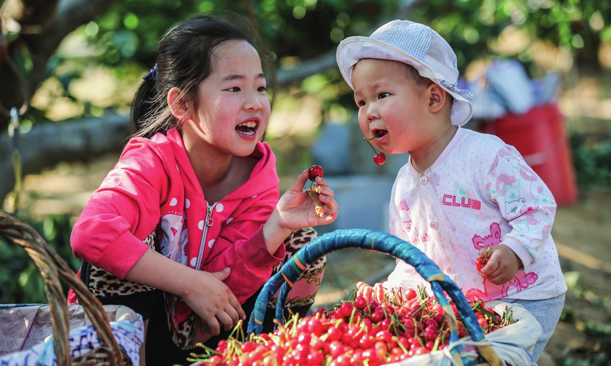 Children enjoy cherries at a park in Zhanggezhuang. Photo: Courtesy of Zhanggezhuang government