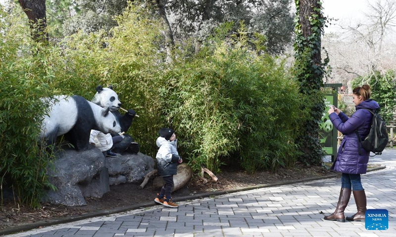 A child poses for photos with giant panda statues at Zoo Aquarium in Madrid, Spain, March 7, 2023. Thanks to close cooperation between Zoo Aquarium and China Conservation and Research Center for the Giant Panda, specialists and staff members managed to breed this extremely rare species in a country far away from its homeland. You You and Jiu Jiu were born to Hua Zuiba and her partner Bing Xing in September, 2021. This giant panda family is cordially deemed a bridge of friendship between Spain and China. (Photo:Xinhua)