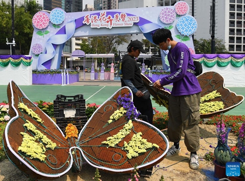 Staff members do preparation work for the upcoming Hong Kong Flower Show 2023 at Victoria Park in south China's Hong Kong, March 9, 2023. The flower show will be held from March 10 to 19.(Photo: Xinhua)