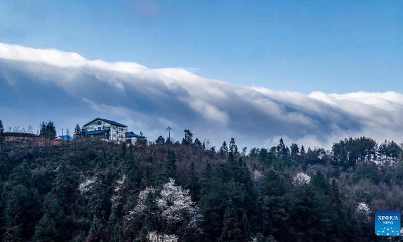 This photo taken on March 13, 2023 shows clouds over Jinfo Mountain in southwest China's Chongqing.(Photo: Xinhua)