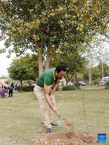 A man plants a tree during a spring tree plantation drive in Islamabad, Pakistan, on March 15, 2023.(Photo: Xinhua)