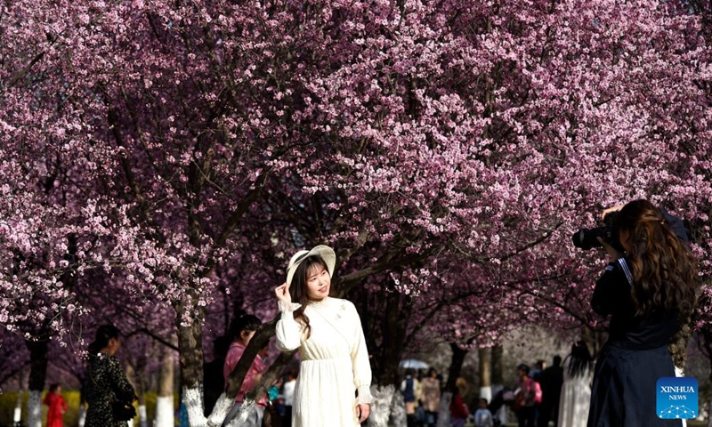 A woman poses for pictures with spring flowers at Daming Palace National Heritage Park in Xi'an, northwest China's Shaanxi Province, March 14, 2023.(Photo: Xinhua)