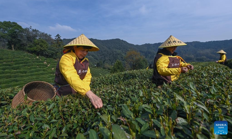 Tea-picking workers harvest Longjing tea leaves at a tea garden in Longjing Village of Hangzhou, east China's Zhejiang Province, March 13, 2023. Longjing tea, also known as West Lake Dragon Well tea, is characterized by its green color, delicate aroma, mellow taste and beautiful shape.(Photo: Xinhua)