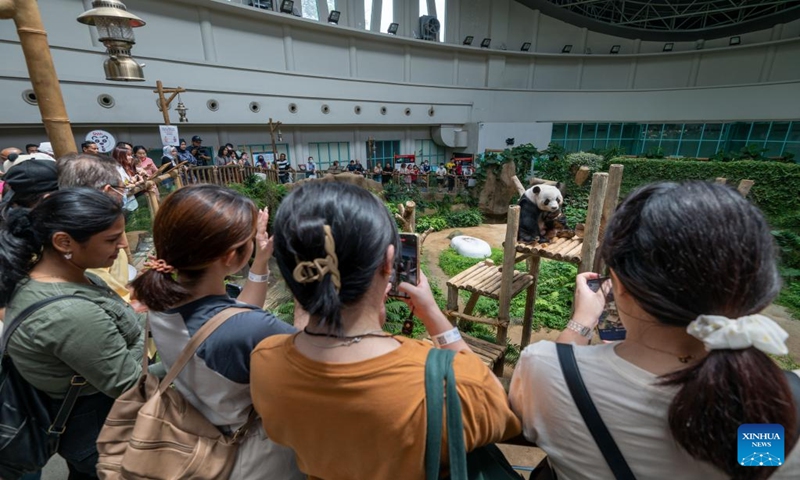 Tourists look at a giant panda at Zoo Negara near Kuala Lumpur, Malaysia, March 11, 2023. The Giant Panda Conservation Center in Zoo Negara near Kuala Lumpur is currently home to a family of four, including the giant panda father Xing Xing, mother Liang Liang as well as their daughters Yi Yi and Sheng Yi. (Photo:Xinhua)