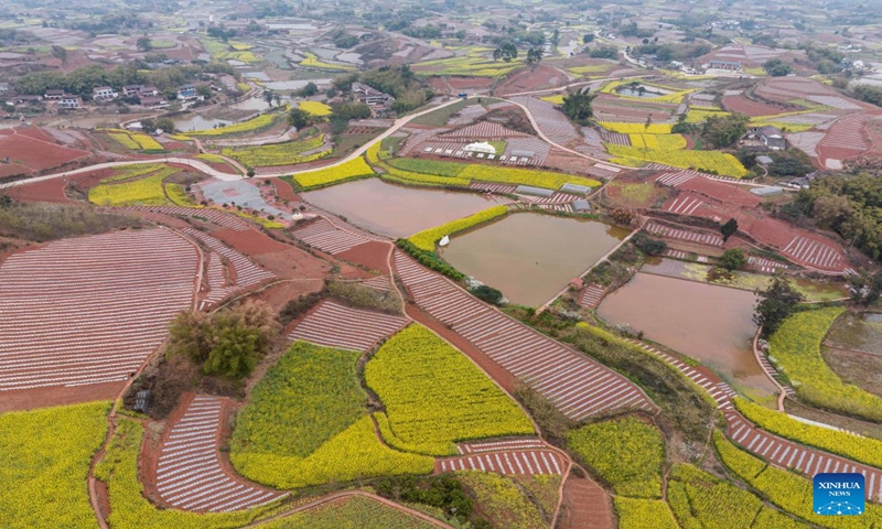 This aerial photo taken on March 11, 2023 shows a view of farmlands in Tiangongmiao Village, Lede Town, Rongxian County of southwest China's Sichuan Province. (Photo:Xinhua)