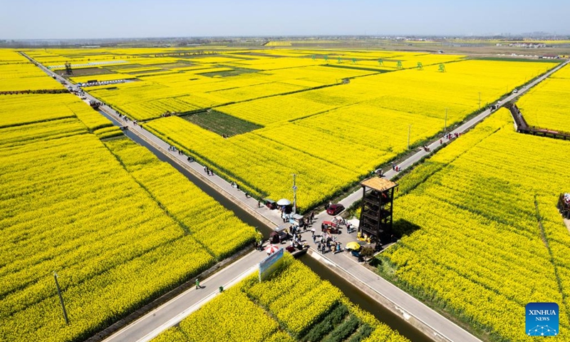 This aerial photo taken on March 14, 2023 shows cole flower fields in Ziliu Village of Shimeitang Township, Changde City, central China's Hunan Province. (Photo:Xinhua)