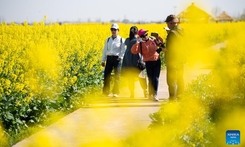 Tourists have fun in cole flower fields in Ziliu Village of Shimeitang Township, Changde City, central China's Hunan Province, March 14, 2023. (Photo:Xinhua)