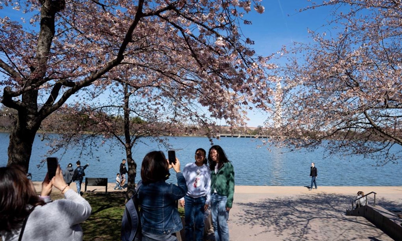 People take photos under cherry blossoms at the Tidal Basin in Washington, D.C., the United States, on March 16, 2023.(Photo: Xinhua)