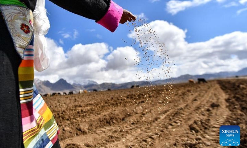 A local farmer dressed up in traditional Tibetan costume casts a handful of seeds at a spring plowing ceremony held in Changga Village, Linzhou County of southwest China's Tibet Autonomous Region, March 16, 2023. (Photo:Xinhua)