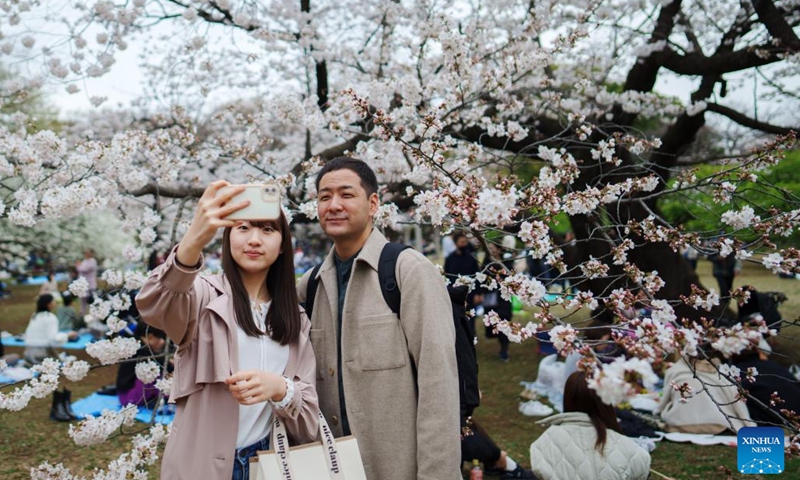 Visitors take a selfie in front of cherry blossoms on the day of the spring equinox at Yoyogi Park in Tokyo, Japan, March 21, 2023.(Photo: Xinhua)