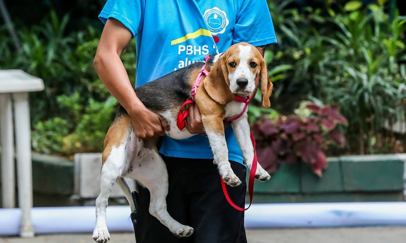 A man takes his pet dog to receive a free rabies vaccination during the national rabies awareness month in Quezon City, the Philippines, March 20, 2023.(Photo: Xinhua)