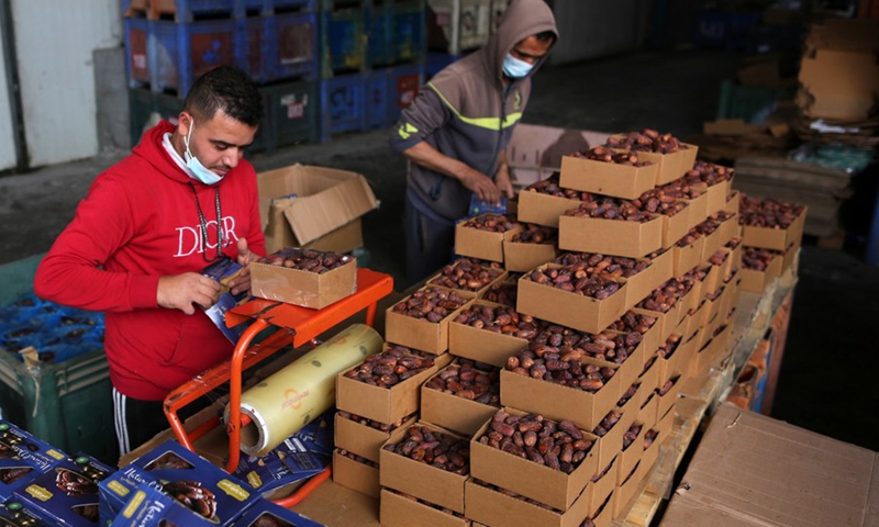 Palestinian workers sort and pack dates in a factory in preparation for the holy month of Ramadan in the southern Gaza Strip city of Khan Younis, on March 21, 2023.(Photo: Xinhua)