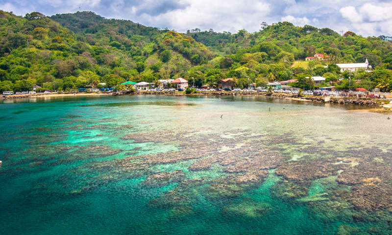 A view of the island of Roatan in Honduras Photo: VCG