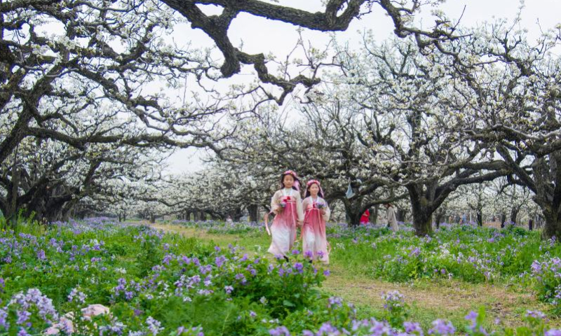 Tourists enjoy flowers at a pear garden in Dangshan County, Suzhou City, east China's Anhui Province, March 25, 2023. Recently, pear trees in Dangshan County of east China's Anhui Province have entered full bloom. Various activities are held in the pear garden to attract tourists. (Photo by Cui Meng/Xinhua)
