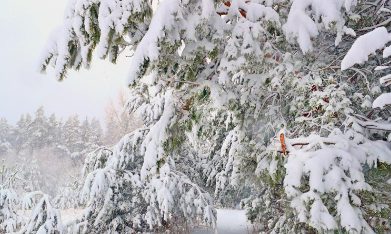 This photo taken on March 28, 2023 shows the snow scenery in Minsk, Belarus. Heavy snowfall swept parts of Belarus on Tuesday. (Photo by Henadz Zhinkov/Xinhua)