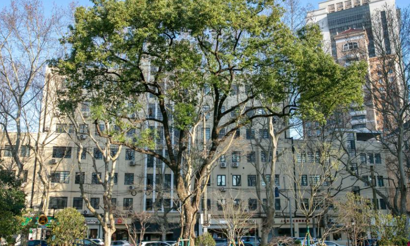 This photo taken on March 14, 2023 shows a view of a pocket park in Xuhui District of Shanghai, east China. With the construction of pocket parks, boulevard networks, green wedges, urban greenbelts and the like, Shanghai has been vigorously expanding its public ecological space. (Xinhua/Wang Xiang)