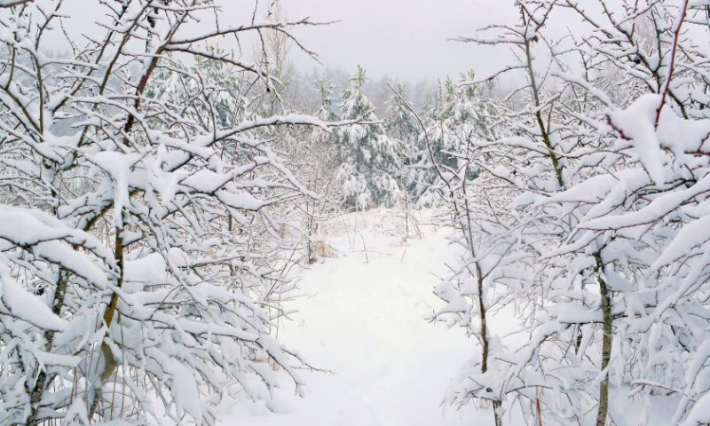 This photo taken on March 28, 2023 shows the snow scenery in Minsk, Belarus. Heavy snowfall swept parts of Belarus on Tuesday. (Photo by Henadz Zhinkov/Xinhua)