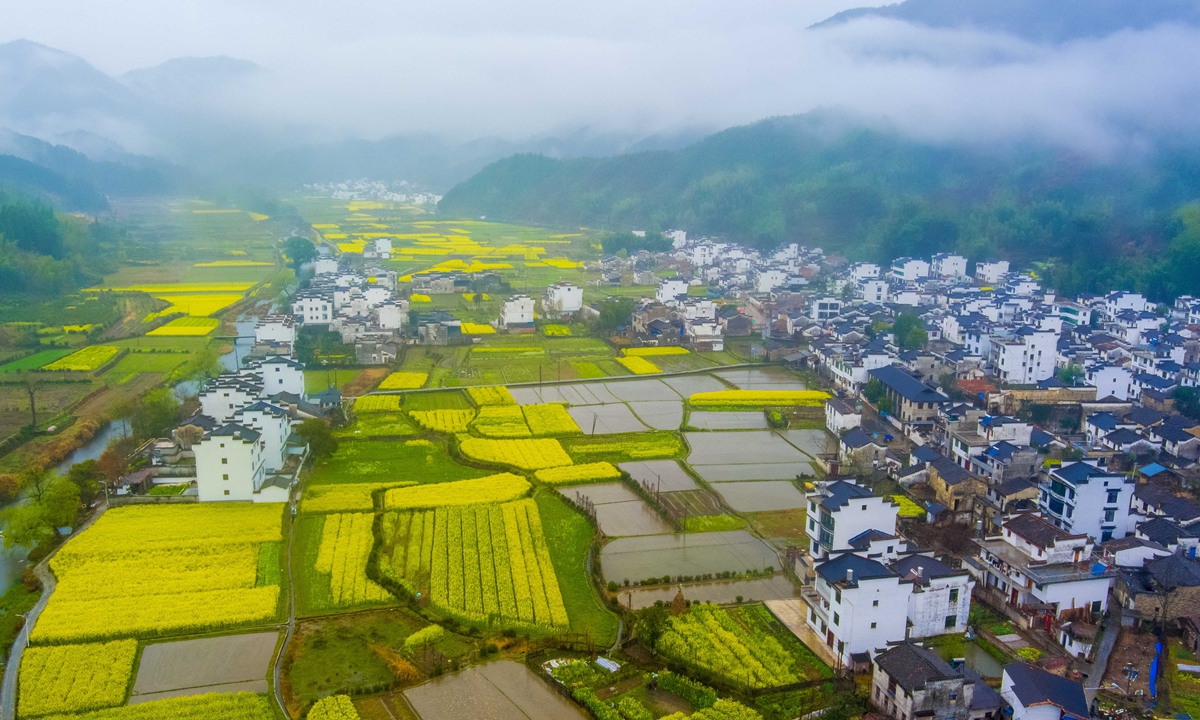 A view of rape flowers blossoming is seen in Wuyuan county, East China's Jiangxi Province, on March 22, 2023. As the rape
flowers enter their blooming period, the misty county displays a beautiful picture of spring plowing. Photo: VCG