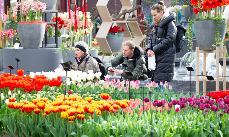 Visitors view blooming tulips at the Keukenhof park in Lisse, the Netherlands, on March 23, 2023.(Photo: Xinhua)