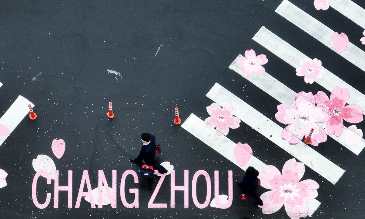 Pedestrians walk across a cherry blossom zebra crossing on March 23, 2023 in Changzhou, East China's Jiangsu Province. A cherry blossom tree is in full bloom nearby and many citizens have been stopping and taking pictures. Photo: VCG