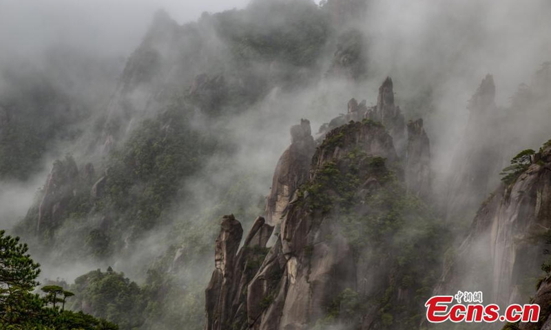 Sanqing Mountain, a world natural heritage site, is surrounded by a sea of clouds, looking like an ink wash painting in Shangrao, east China's Jiangxi Province. (Photo/VCG)