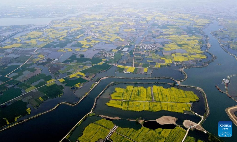 This aerial photo shows the rape flower fields in Xiangshuijian Village, Eqiao Town of Sanshan District, Wuhu, east China's Anhui Province, March 27, 2023. Rape flowers in Xiangshuijian Village ushered in full bloom recently. Rivers and waterways wind through the golden rape flower fields, creating beautiful countryside scenes. (Xinhua/Liu Junxi)