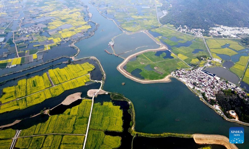 This aerial photo shows the rape flower fields in Xiangshuijian Village, Eqiao Town of Sanshan District, Wuhu, east China's Anhui Province, March 27, 2023. Rape flowers in Xiangshuijian Village ushered in full bloom recently. Rivers and waterways wind through the golden rape flower fields, creating beautiful countryside scenes. (Xinhua/Liu Junxi)
