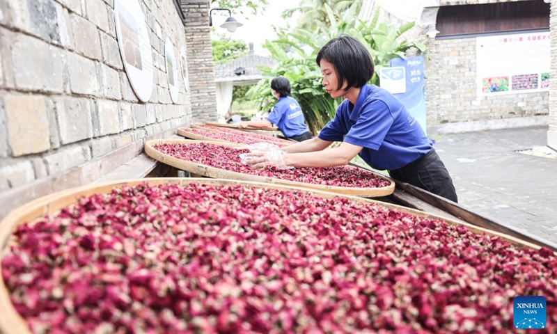 Staff members arrange the roses produced from Yalong Bay of Sanya during the Innovation and Development of Sanya Exhibition in Boao, south China's Hainan Province, March 28, 2023. The exhibition is held here from March 28 to March 31(Photo: Xinhua)
