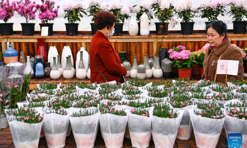 Tourists buy flowers at a flower demonstration point in Bailidujuan administrative area in Bijie, southwest China's Guizhou Province, March 28, 2023. In recent years, the Bailidujuan administrative area in Bijie has set up intelligent greenhouses for cultivating alpine flower species such as azalea, with the goal of developing rural tourism and boosting incomes of local farmers(Photo: Xinhua)