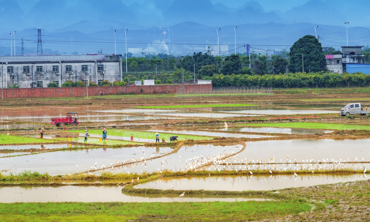 Farmers are busy sowing in Baise, Southwest China's Guangxi Zhuang Autonomous Region on February 25, 2023. Photo: VCG