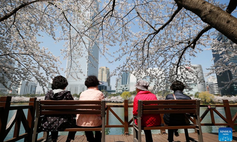 Tourists view cherry blossoms at Seokchon Lake Park in Seoul, South Korea, March 30, 2023.(Photo: Xinhua)