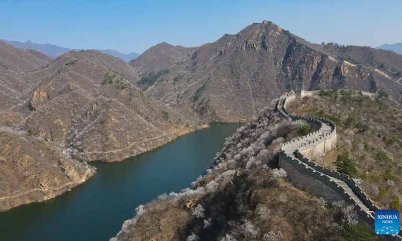 This aerial photo taken on March 29, 2023 shows the Huanghuacheng Lakeside Great Wall Reserve in Beijing, capital of China.(Photo: Xinhua)