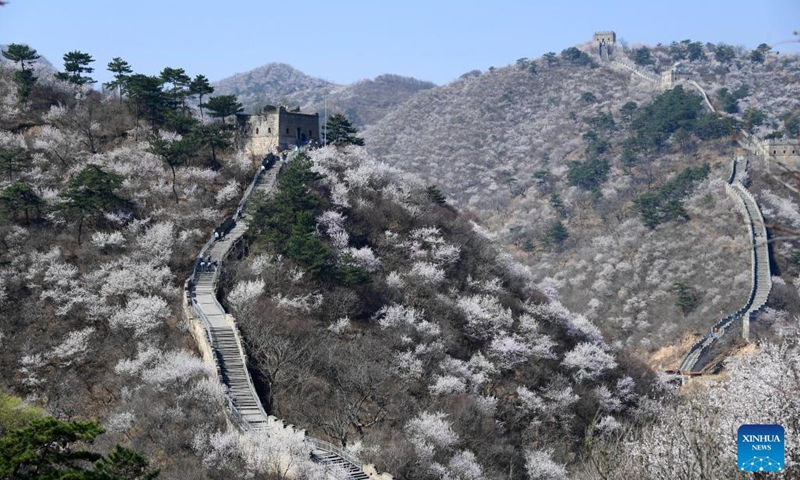 This photo taken on March 29, 2023 shows the Huanghuacheng Lakeside Great Wall in Beijing, capital of China.(Photo: Xinhua)