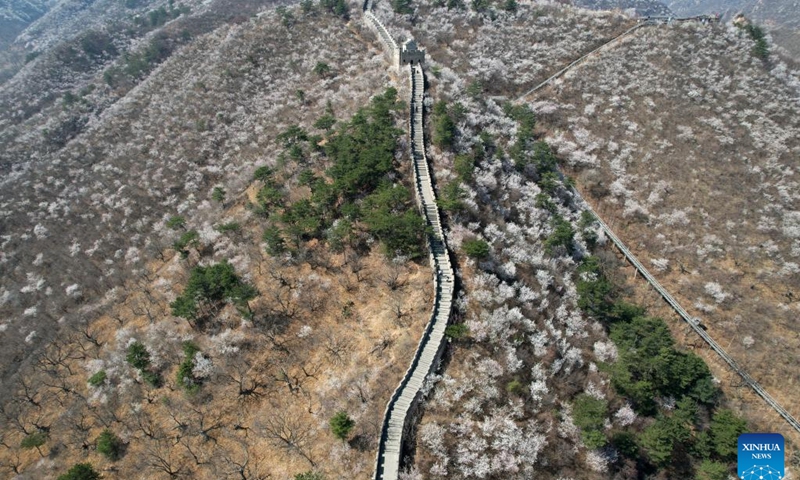 This aerial photo taken on March 29, 2023 shows the Huanghuacheng Lakeside Great Wall Reserve in Beijing, capital of China.(Photo: Xinhua)