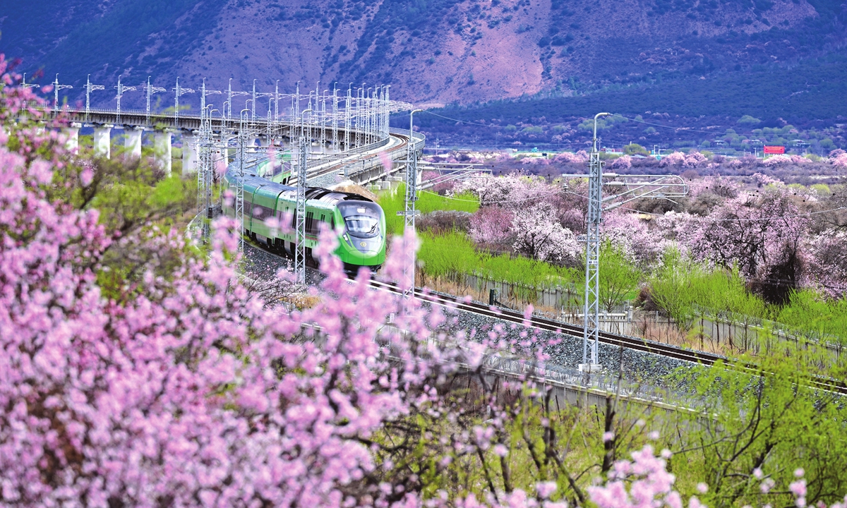 Fuxing High-speed Train drives on the Lhasa-Nyingchi Railway on March 21, 2023, passing the pink sea of peach blossom in Bayi district, Nyingchi city of Southwest China's Xizang Autonomous Region. Photo: VCG