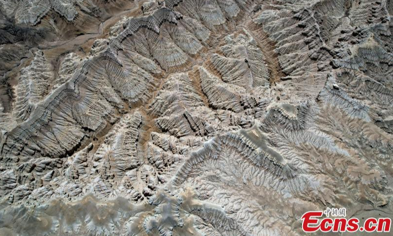 Unique landscape of Zanda earth forest in Zanda County, southwest China's Tibet Autonomous Region. Zanda earth forest is the largest and most distinctive clay forest in China and was listed as a national geopark in 2007. (Photo: China News Service/Li Lin)