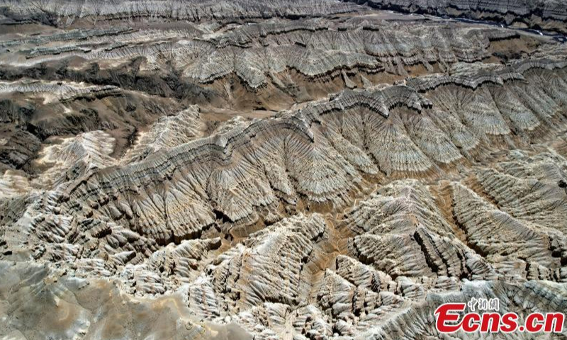 Unique landscape of Zanda earth forest in Zanda County, southwest China's Tibet Autonomous Region. Zanda earth forest is the largest and most distinctive clay forest in China and was listed as a national geopark in 2007. (Photo: China News Service/Li Lin)