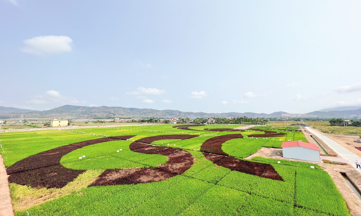 The Yazhou National Modern Agricultural (Seed Industry) Industrial Park in Sanya, South China's Hainan Province on April 2,2023 Photo:Wang Cong/GT