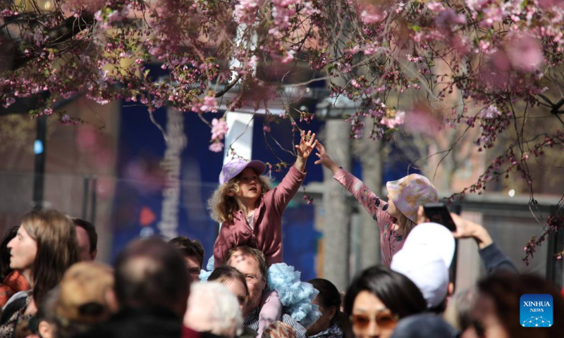 People spend leisure time under blooming cherry trees at the King's Garden in central Stockholm, Sweden, April 23, 2023. (Photo by Fang Ming/Xinhua)