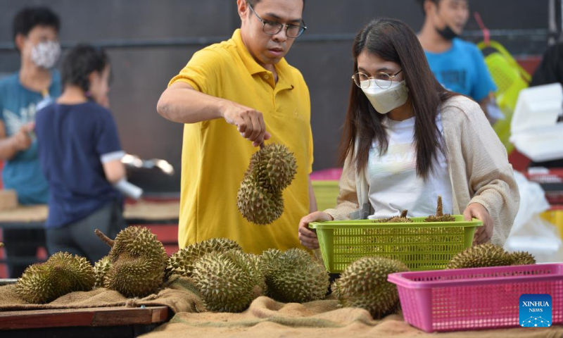 People select durians in Bangkok, Thailand, April 23, 2023. Local durian farmers welcome a bumper harvest in Thailand. (Xinhua/Rachen Sageamsak)