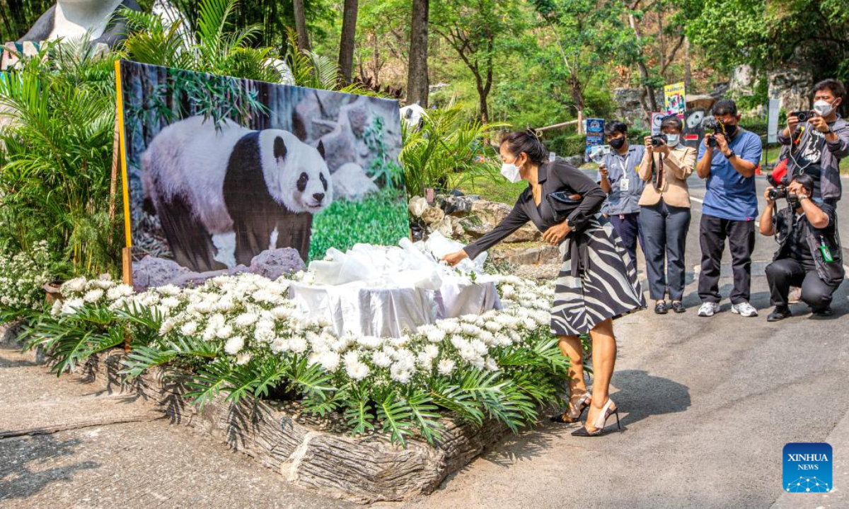A visitor mourns giant panda 