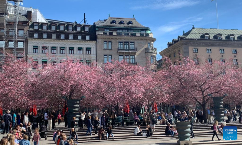 People spend leisure time under blooming cherry trees at the King's Garden in central Stockholm, Sweden, April 23, 2023. (Photo by Fang Ming/Xinhua)