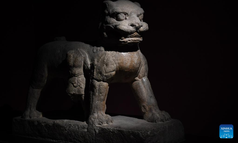 This photo taken on May 9, 2023 shows a stone lion statue displayed in Xi'an Beilin Museum in Xi'an, northwest China's Shaanxi Province. (Xinhua/Li Yibo)