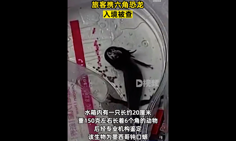 Recently, a traveler carrying a small water tank was intercepted by customs officers at Shenzhen Bay Port, South China’s Guangdong Province. Photo: web