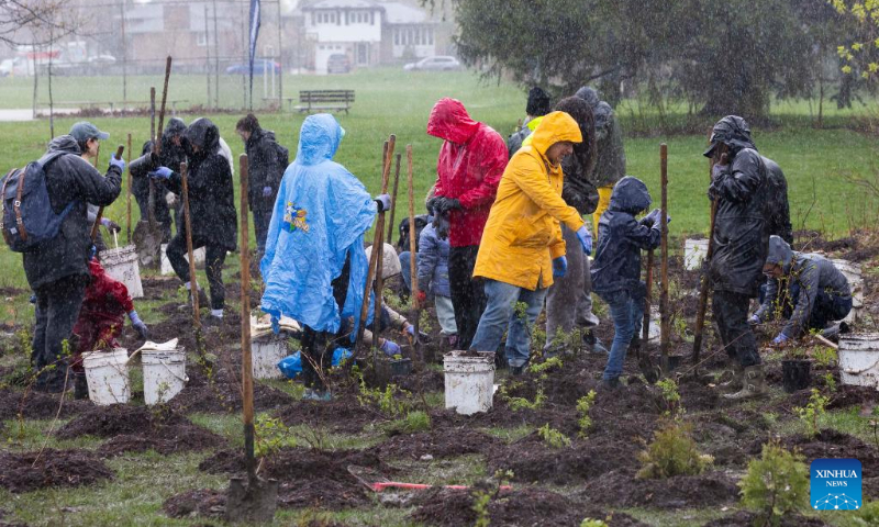 People participate in a tree planting event in a park in Toronto, Canada, on April 22, 2023. About 200 people took part in a tree planting event here on Saturday to celebrate Earth Day. (Photo by Zou Zheng/Xinhua)
