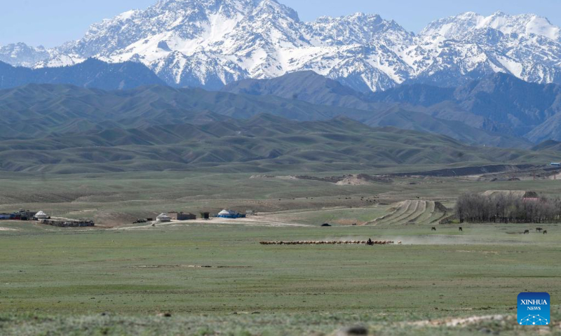 This photo taken on May 10, 2023 shows a pasturage near the Dushanzi-Kuqa Highway in northwest China's Xinjiang Uygur Autonomous Region. (Xinhua/Hu Huhu)
