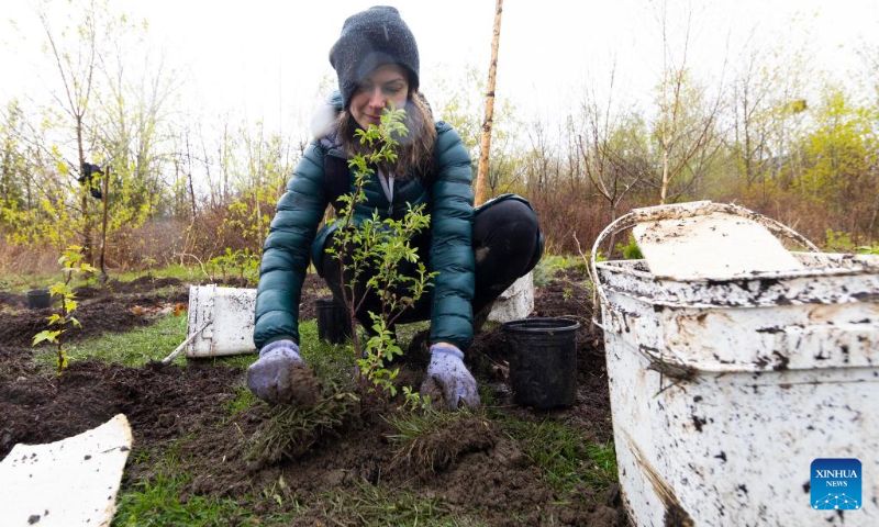 A woman participates in a tree planting event in a park in Toronto, Canada, on April 22, 2023. About 200 people took part in a tree planting event here on Saturday to celebrate Earth Day. (Photo by Zou Zheng/Xinhua)