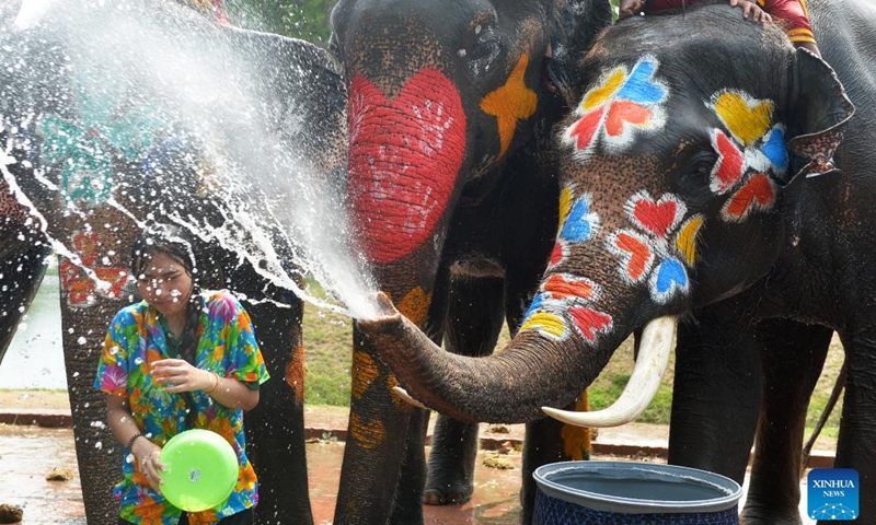 An elephant sprays water on a tourist during a celebration for the upcoming Songkran Festival, in Ayutthaya, Thailand, April 11, 2023. Songkran Festival, the traditional Thai New Year, is celebrated from April 13 to 15 every year, during which people express greetings by splashing water on each other.(Photo: Xinhua)