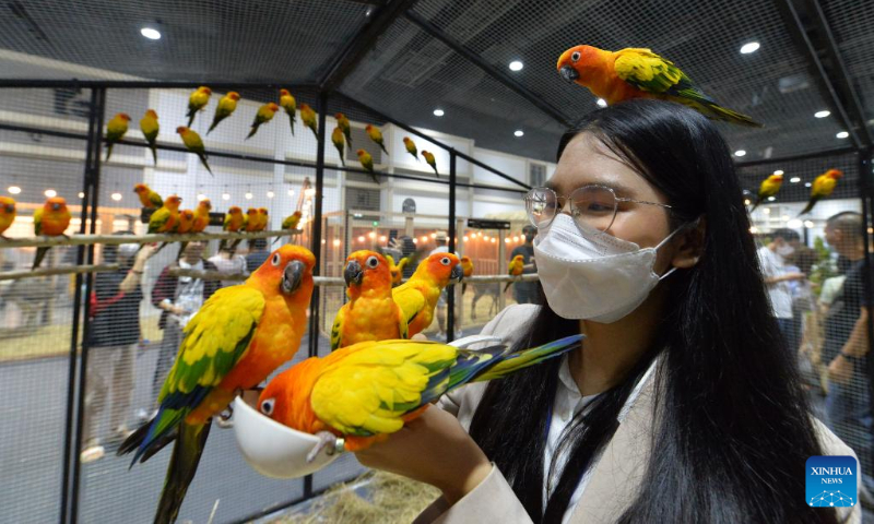 A visitor feeds parrots at the Queen Sirikit National Convention Center in Bangkok, Thailand, May 4, 2023. The Pet Expo Thailand 2023 kicked off here on Thursday and will last until May 7. (Xinhua/Rachen Sageamsak)